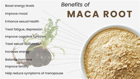 maca root for the butt|10 health benefits of maca root .